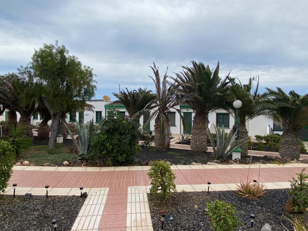 Casa Sandra Cocosol Costa De Antigua Ngoại thất bức ảnh